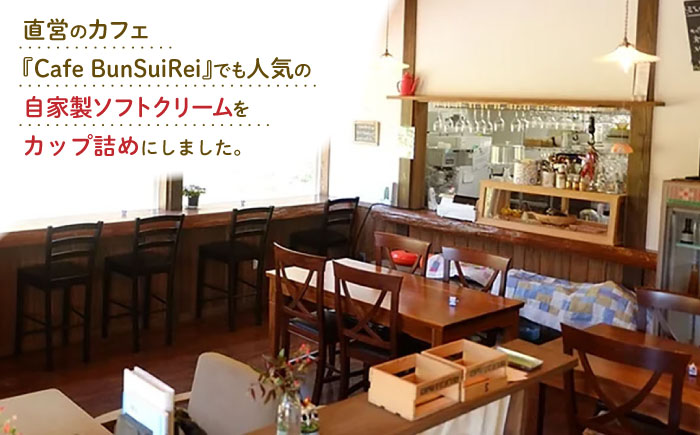 【全3回定期便】牧場の アイスクリーム セット ( 100g × 6個 ) カップ 熊本 山都町【山の未来舎】[YBV015]