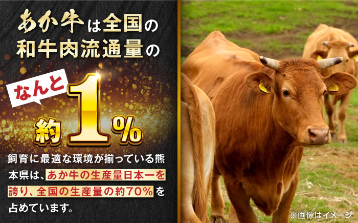 【全12回定期便】熊本県産 あか牛 ぎょうざ 計60個 ( 20個 × 3箱 ) 熊本和牛【有限会社 三協畜産】[YCG094]