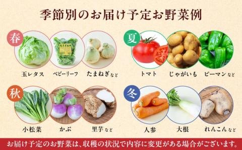 産地直送便 全12種類 セット リーメント ぷちサンプル ふるさと産地
