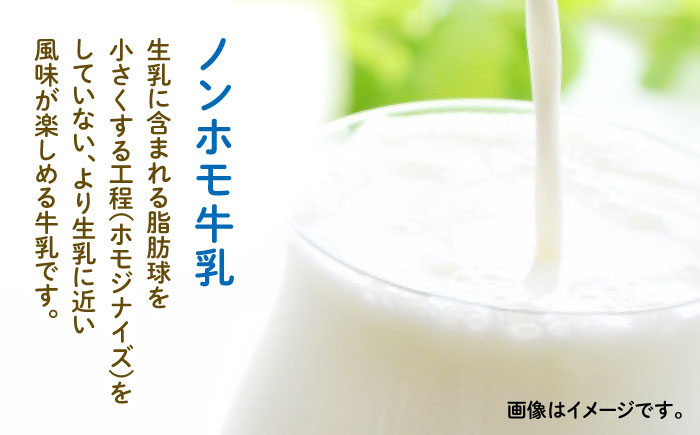 【全3回定期便】牧場の アイスクリーム セット ( 100g × 6個 ) カップ 熊本 山都町【山の未来舎】[YBV015]