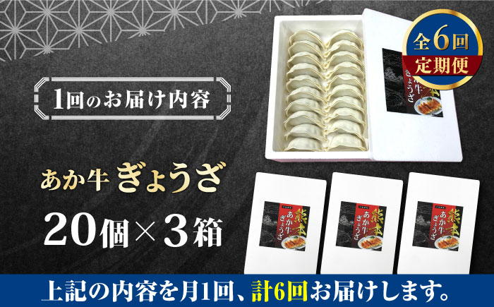 全6回定期便】熊本県産 あか牛 ぎょうざ 計40個 ( 20個 × 2箱