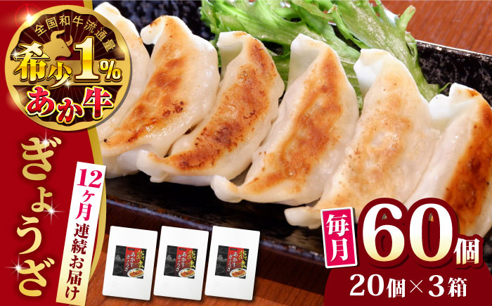 【全12回定期便】熊本県産 あか牛 ぎょうざ 計60個 ( 20個 × 3箱 ) 熊本和牛【有限会社 三協畜産】[YCG094]