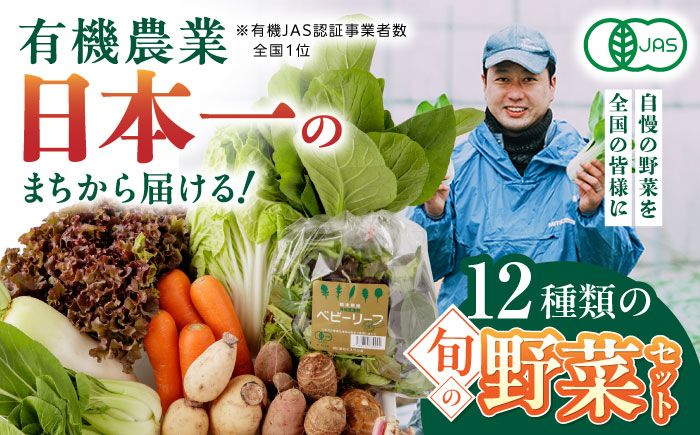 有機野菜 オーガニック 12種セット 詰め合わせ 熊本県産 山都町産 産地直送 [株式会社 肥後やまと]