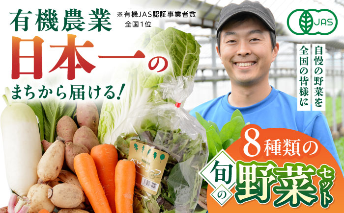 有機野菜 オーガニック 8種セット 詰め合わせ 熊本県産 山都町産 産地直送[株式会社 肥後やまと]