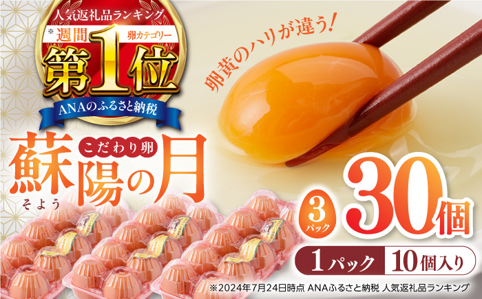 厚焼玉子 500g 取り合わ 冷凍 ノーカット 寿司ネタ 玉子焼き 厚焼き玉子 だし巻き