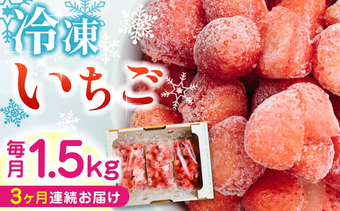 [全3回定期便][数量限定] 熊本県産 冷凍イチゴ 計1.5kg ( 500g × 3P ) 山都町産 産地直送[なかはた農園]