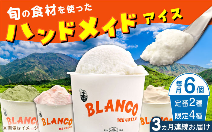 [全3回定期便]ハンドメイドアイスクリーム 食べ比べ 6個セット ( 6種 × 各1個 ) 詰め合わせ アイスクリーム 熊本 山都町 アイス[BLANCO ICE CREAM]