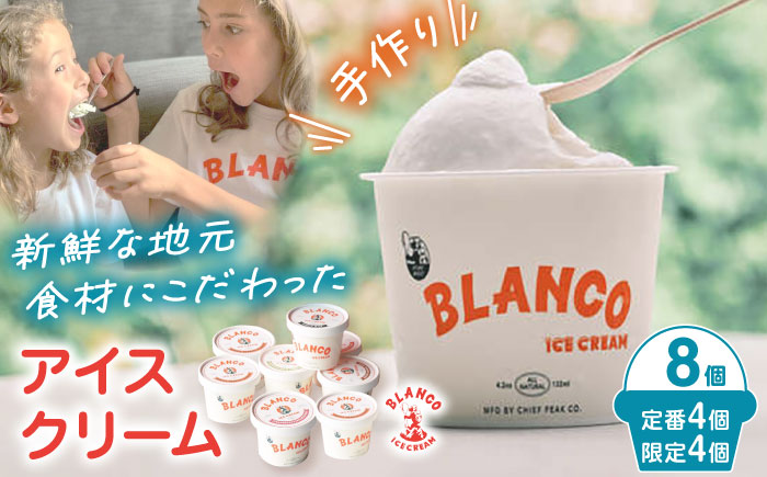 ハンドメイドアイスクリーム 6種 食べ比べ 8個セット 詰め合わせ アイスクリーム 熊本 山都町 アイス[BLANCO ICE CREAM]