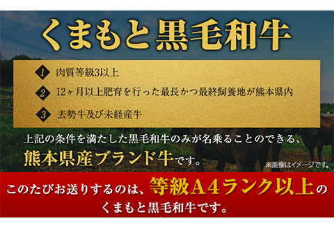 くまもと黒毛和牛 サーロイン リブロース 内モモ 希少部位 500g 牛肉 焼肉用 冷凍 《2026年1月中旬-3月末頃出荷》 くまもと黒毛和牛 黒毛和牛---hkw_fkgsrumky_bc13_r7_12000_500g---