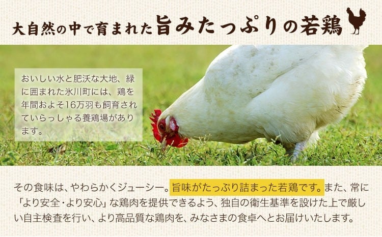 大容量 鶏肉 熊本県産 若鶏むね肉  2kg 《30日以内に出荷予定(土日祝除く)》 モモ肉 モモ 若鶏モモ 鶏モモ ムネ 鶏ムネ ムネ肉 若鶏ムネ---fn_ftrmune_r7_8000_2kg_30d---