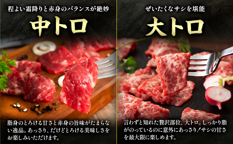 馬肉 熊本特産 フジチクオリジナル 特選 馬刺し 8種 セット 道の駅竜北《30日以内に出荷予定(土日祝除く)》 熊本県 氷川町 肉 馬肉 メン 大トロ 中トロ ヒレ シャトーブリアン ロース ランプ 上赤身 ネギトロ ふじ馬刺し セット 食べ比べ---sh_fyekfotb_r7_30d_79500_610g---st-p
