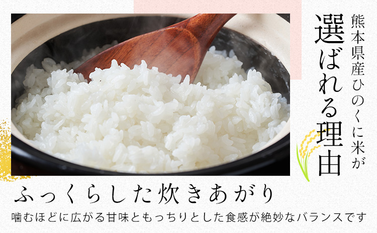 【12ヶ月定期便】ひごみのり 白米 熊本県産 ブレンド米 15kg 熊本県産 ふるさと納税  精米 米 こめ ふるさとのうぜい コメ お米 おこめ《お申込み翌月から出荷》---hkw_hgmtei_402000_15kg_h_mo12---
