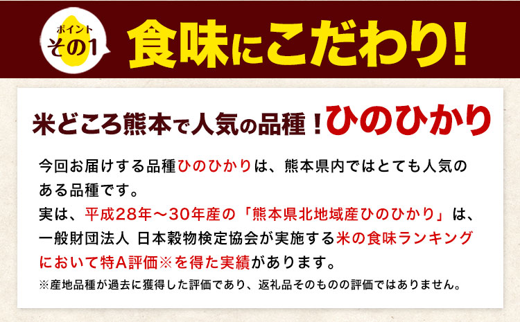 令和7年産 白米 【12ヶ月定期便】 ひのひかり 10kg《お申込み翌月から出荷》 熊本県産 白米 精米 氷川町 ひの 送料無料 ヒノヒカリ コメ 便利 ブランド米 お米 おこめ 熊本---hn7tei_294000_10kg_mo12_hkw_h---