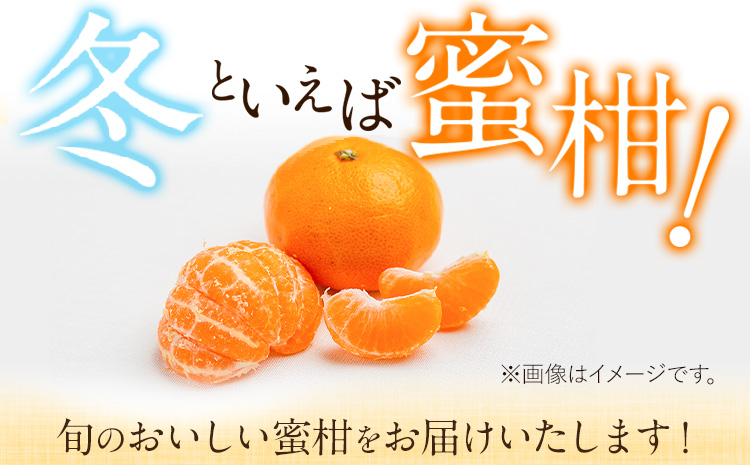 山本果樹園の旬のみかん 5kg 山本果樹園《９月中旬-2月末頃出荷予定》蜜柑 柑橘 ひのあかり 日南 豊福　肥後早生 青島---sh_ymmtmkn_bc92_r7_9000_5kg---