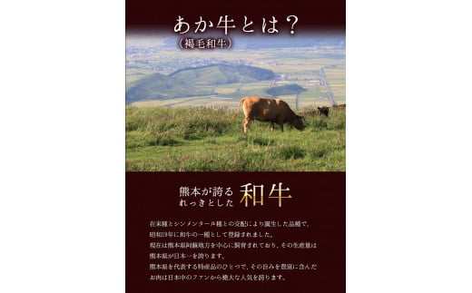 あか牛（褐色和種）ロースステーキ (リブまたはサーロイン) 250g×2 《2026年1月中旬-3月末頃出荷》---hkw_fakstk_bc13_r7_18000_500g---