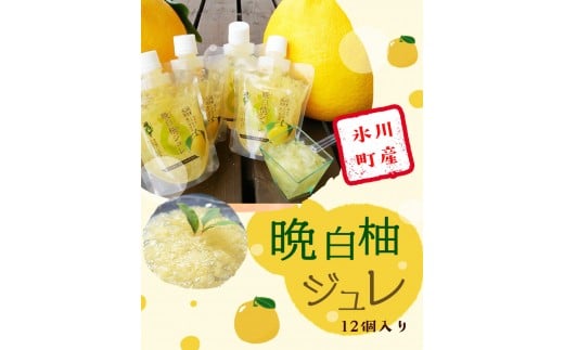 晩白柚ジュレ170g×12個 《30日以内に出荷予定(土日祝除く)》 道の駅竜北 熊本県氷川町---sh_cmitijure_30d_r7_16000_12p---