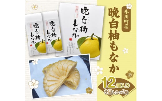 晩白柚もなか 12個入り(6個入り×2箱)  《30日以内に出荷予定(土日祝除く)》 道の駅竜北---sh_michimona_30d_r7_8500_12k---