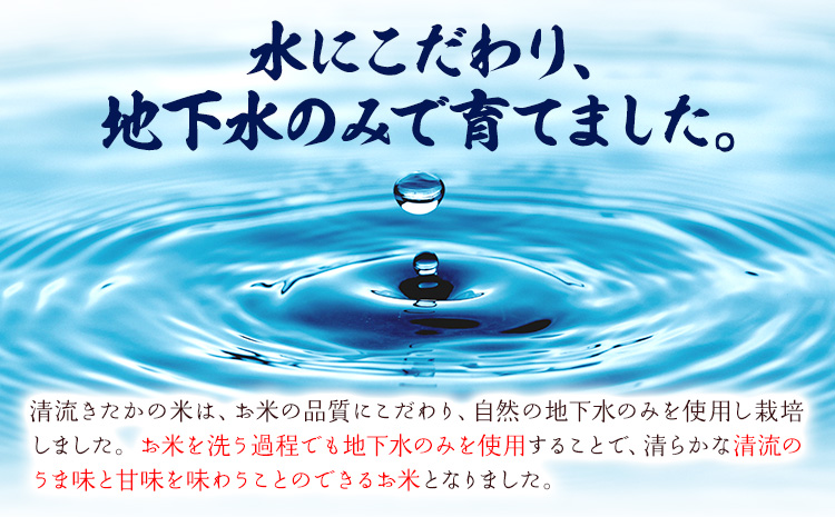 令和7年産 無洗米 清流きたかの米 10kg 《2月出荷予定》熊本県産 無洗米 白米 精米 氷川町 送料無料コメ 便利 ブランド米 お米 おこめ 熊本 SDGs---hkw_ktkn7_ac2_r7_23500_10kg---