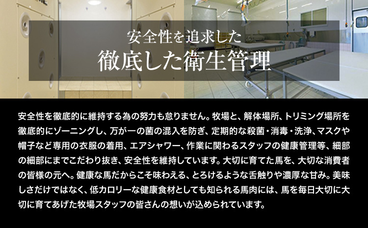 【3ヶ月定期便】馬刺し 国産 馬刺し 赤身 馬刺し 300g【純国産熊本肥育】 生食用 冷凍《お申込み月の翌月から出荷開始》送料無料 熊本県 氷川町 馬 馬肉 赤身 赤身馬刺し---hkw_fjst3tei_r7_30000_mo3---
