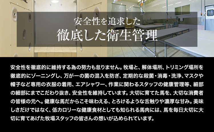 馬刺し 国産 馬刺し 赤身 馬刺し 200g 【純国産熊本肥育】 生食用 冷凍《30日以内に出荷予定(土日祝除く)》送料無料 熊本県 氷川町 馬 馬肉 赤身 赤身馬刺し---hkw_fjst2_30d_r7_8000_200g---