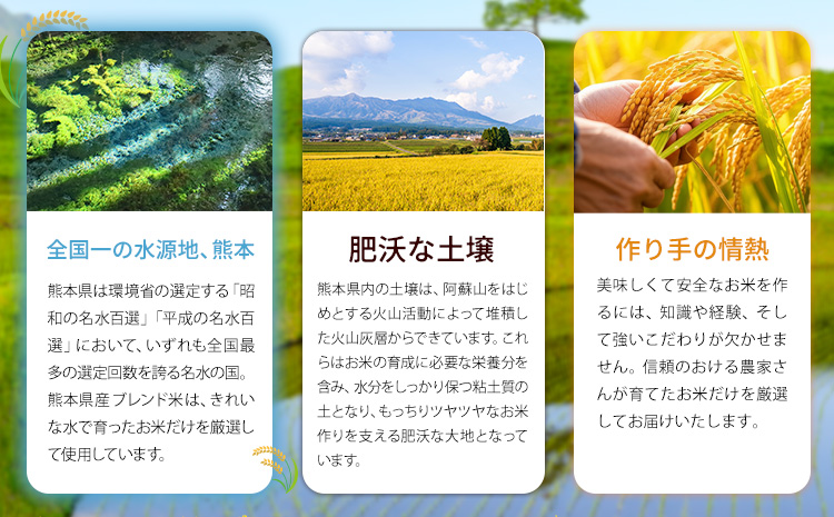 【12ヶ月定期便】ひごみのり 白米 熊本県産 ブレンド米 10kg 熊本県産 ふるさと納税  精米 米 こめ ふるさとのうぜい コメ お米 おこめ《お申込み翌月から出荷》---hkw_hgmtei_270000_10kg_h_mo12---