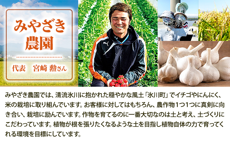冷凍いちご 約2kg みやざき農園《30日以内に出荷予定(土日祝除く)》 いちご イチゴ ひのしずく ストロベリー 冷凍---sh_fmiyayufarm_30d_25_15000_2kg---