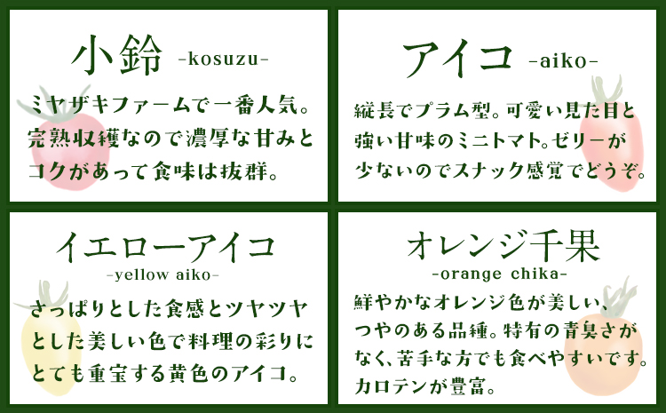 「ミヤザキファーム」 宝石とまと1.2kg 熊本県氷川町産《12月上旬-6月末頃出荷予定》 小鈴 アイコ イエローアイコ オレンジ千果 みどりちゃん セレブスイート グリーンゼブラ 桃太郎ゴールド トスカーナバイオレット マイクロトマト---sh_cmiyatmt_ac126_r7_13000_1200g---