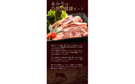 あか牛（褐色和種）ロースステーキ (リブまたはサーロイン) 250g×2 《2026年1月中旬-3月末頃出荷》---hkw_fakstk_bc13_r7_18000_500g---
