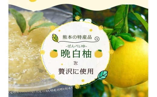 晩白柚ジュレ170g×12個 《30日以内に出荷予定(土日祝除く)》 道の駅竜北 熊本県氷川町---sh_cmitijure_30d_r7_16000_12p---