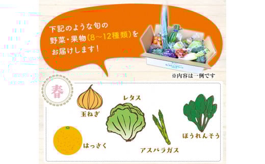 旬の新鮮野菜・果物詰合せセット たっぷり8-12品目 《30日以内に出荷予定(土日祝除く)》 熊本県氷川町産 道の駅竜北---sh_cmitiysi_30d_r7_16500_8p---