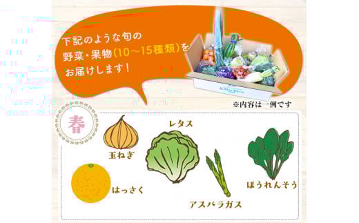3ヶ月定期便 旬の新鮮野菜・果物詰合せセット10-15品目 《お申込み月の翌月から出荷開始》  道の駅竜北---sh_cmitiysibtei_r7_59500_mo3num1---