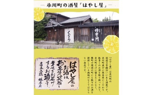 「はやし屋」の晩白柚のお酒 2本セット 《30日以内に出荷予定(土日祝除く)》 熊本県氷川町産---sh_hayashisake_30d_r7_12000_2p---