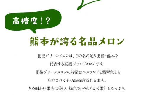【先行予約】「ミヤザキファーム」 肥後グリーンメロン2玉《6月中旬-6月末頃出荷》 熊本県氷川町産---sh_miyameron_j6_r7_15000_2t---