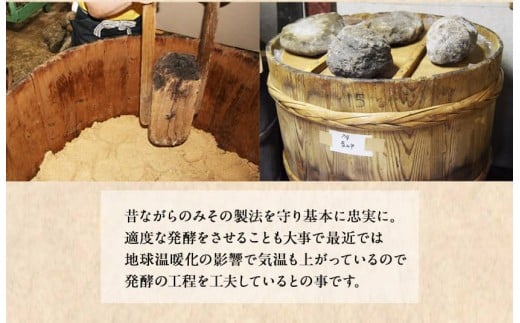 「田河東洋男商店」 ふるさと しょうゆと簡単味噌汁ギフトセット 《30日以内に出荷予定(土日祝除く)》 熊本県氷川町産---sh_tagawagift_30d_r7_12500---