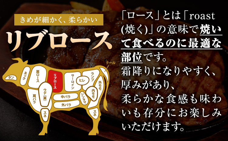 くまもと黒毛和牛 リブロースステーキ 250g (250g×1) 牛肉 冷凍 《30日以内に出荷予定(土日祝除く)》 くまもと黒毛和牛 黒毛和牛 冷凍庫 個別 取分け 小分け 個包装 ステーキ肉 にも リブロースステーキ---hkw_fribu_30d_r7_10000_250g---