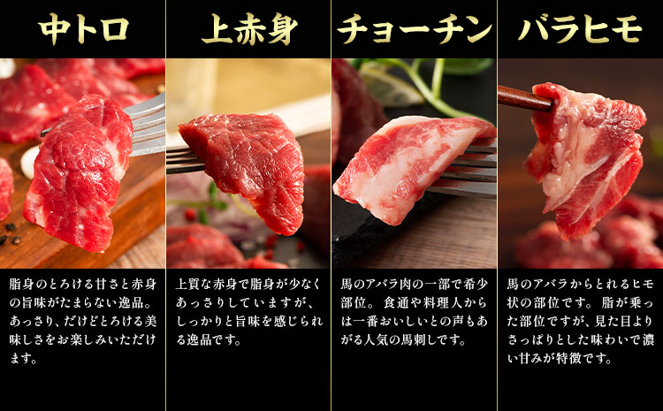 馬肉 フジチクオリジナル 希少部位 と 贅沢な ふじ馬刺し 厳選 セット 道の駅竜北《30日以内に出荷予定(土日祝除く)》 熊本県 氷川町 肉 馬肉 メン 大トロ 中トロ ヒレ シャトーブリアン ロース ランプ 上赤身 ふじ馬刺し セット 食べ比べ---sh_fyekfokb_r7_30d_133000_1160g---st-p