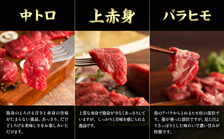 馬肉 熊本特産 フジチクオリジナル ふじ 馬刺し 堪能 セット 道の駅竜北《30日以内に出荷予定(土日祝除く)》 熊本県 氷川町 肉 馬肉 メン 大トロ 中トロ ヒレ シャトーブリアン ロース ランプ 上赤身 ネギトロ ふじ馬刺し セット 食べ比べ---sh_fyekfofb_r7_30d_99500_820g---st-p
