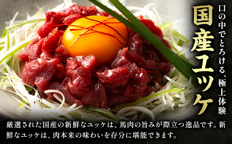 本場 熊本特産 馬刺し 4種の食べ比べ 道の駅竜北《30日以内に出荷予定(土日祝除く)》 熊本県 氷川町 肉 馬肉 国産 赤身 上赤身 ユッケ 国産ユッケ 馬肉 赤身 ふじ馬刺し セット 食べ比べ---sh_fyekbtk_r7_30d_20500_260g---st-p