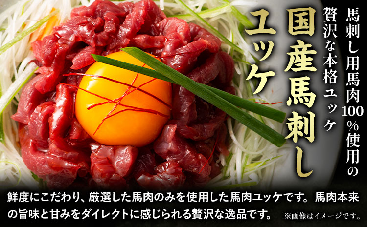 馬刺し 熊本県産 馬刺し ユッケ ネギトロ 食べ比べ セット 道の駅竜北《30日以内に出荷予定(土日祝除く)》 熊本県 氷川町 肉 馬肉 国産 ユッケ 馬 ふじ馬刺し セット 食べ比べ---sh_fyeyknt_r7_30d_12500_150g---st-p