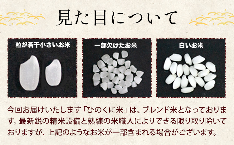 【6ヶ月定期便】ひごみのり 白米 熊本県産 ブレンド米 15kg 熊本県産 ふるさと納税  精米 米 こめ ふるさとのうぜい コメ お米 おこめ《お申込み翌月から出荷》---hkw_hgmtei_201000_15kg_h_mo6---