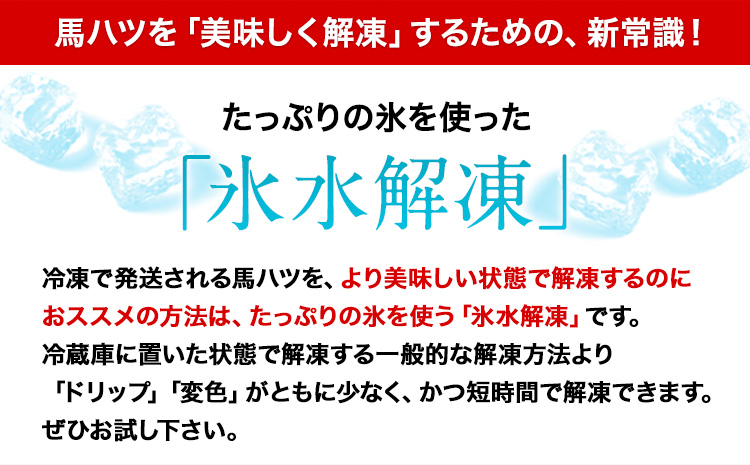 馬ハツ刺し ブロック 50g×6ブロック《2026年6月中旬-9月中旬頃出荷予定》 馬ハツ(心臓) 冷凍 生食用 たれ付き(10ml×3袋) ---hkw_fkghatsu_q69_12000_300g---