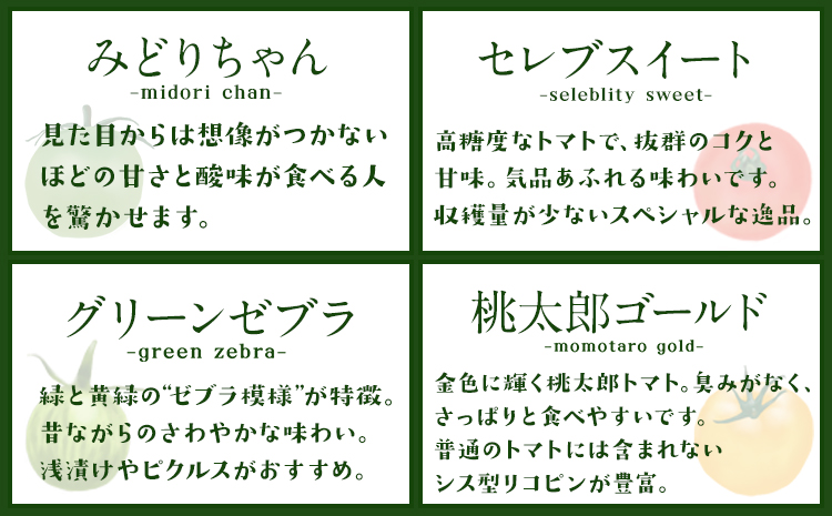 「ミヤザキファーム」 宝石とまと1.2kg 熊本県氷川町産《12月上旬-6月末頃出荷予定》 小鈴 アイコ イエローアイコ オレンジ千果 みどりちゃん セレブスイート グリーンゼブラ 桃太郎ゴールド トスカーナバイオレット マイクロトマト---sh_cmiyatmt_ac126_r7_13000_1200g---