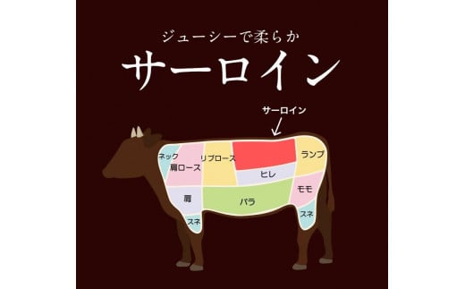 あか牛（褐毛和牛） サーロイン ステーキ 500g 《2026年1月中旬-3月末頃出荷》 牛肉 冷凍---hkw_faksir_bc13_r7_19000_500g---