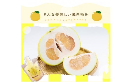 晩白柚ジュレ170g×12個 《30日以内に出荷予定(土日祝除く)》 道の駅竜北 熊本県氷川町---sh_cmitijure_30d_r7_16000_12p---