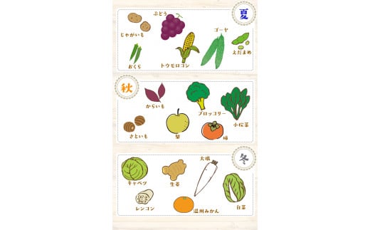旬の新鮮野菜・果物詰合せセット たっぷり10-15品目 熊本県氷川町産 道の駅竜北《30日以内に出荷予定(土日祝除く)》---sh_cmitiysi_30d_r7_20500_10p---