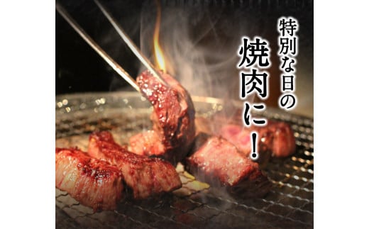 あか牛Cセット 《30日以内に出荷予定(土日祝除く)》  株式会社有佐スーパー---sh_faspakac_30d_r7_233500_2900g---