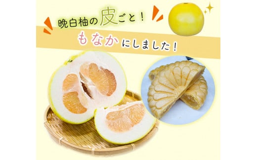 晩白柚もなか 12個入り(6個入り×2箱)  《30日以内に出荷予定(土日祝除く)》 道の駅竜北---sh_michimona_30d_r7_8500_12k---