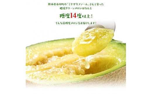 【先行予約】「ミヤザキファーム」 肥後グリーンメロン2玉《6月中旬-6月末頃出荷》 熊本県氷川町産---sh_miyameron_j6_r7_15000_2t---