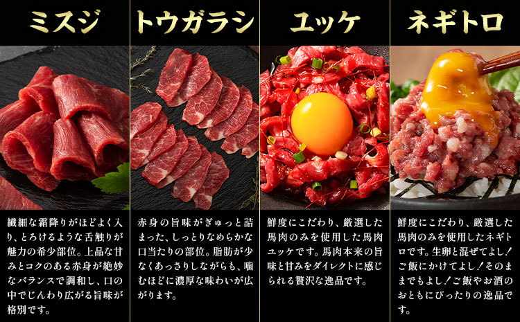 馬肉 フジチクオリジナル 希少部位 と 贅沢な ふじ馬刺し 厳選 セット 道の駅竜北《30日以内に出荷予定(土日祝除く)》 熊本県 氷川町 肉 馬肉 メン 大トロ 中トロ ヒレ シャトーブリアン ロース ランプ 上赤身 ふじ馬刺し セット 食べ比べ---sh_fyekfokb_r7_30d_133000_1160g---st-p