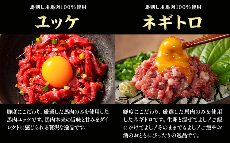 本場 熊本特産 ふじ馬刺し上級赤身 3種 と ユッケ ネギトロ の 詰め合わせ 道の駅竜北《30日以内に出荷予定(土日祝除く)》 熊本県 氷川町 肉 馬肉 国産 赤身 上赤身 ロース ランプ ユッケ ネギトロ 馬肉 赤身 ふじ馬刺し セット 食べ比べ---sh_fyekabyknt_25_30d_34000_390g---st-p